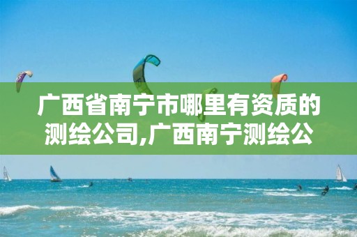 广西省南宁市哪里有资质的测绘公司,广西南宁测绘公司排名。