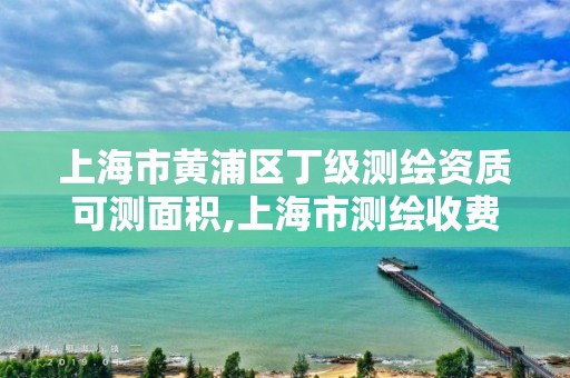 上海市黄浦区丁级测绘资质可测面积,上海市测绘收费标准。