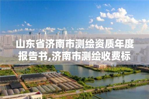 山东省济南市测绘资质年度报告书,济南市测绘收费标准。