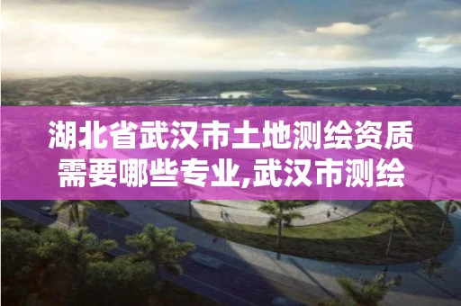 湖北省武汉市土地测绘资质需要哪些专业,武汉市测绘工程技术规定。