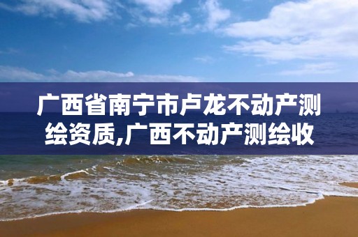 广西省南宁市卢龙不动产测绘资质,广西不动产测绘收费标准。