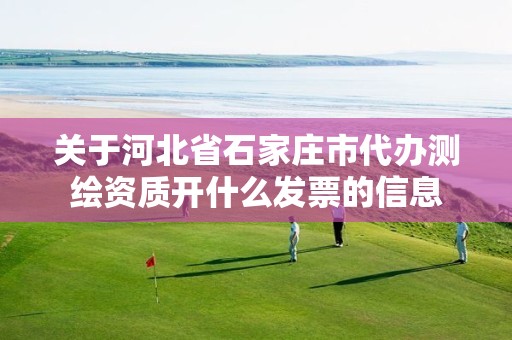 关于河北省石家庄市代办测绘资质开什么发票的信息