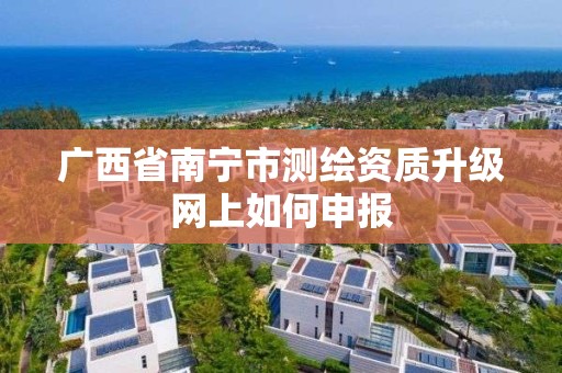 广西省南宁市测绘资质升级网上如何申报