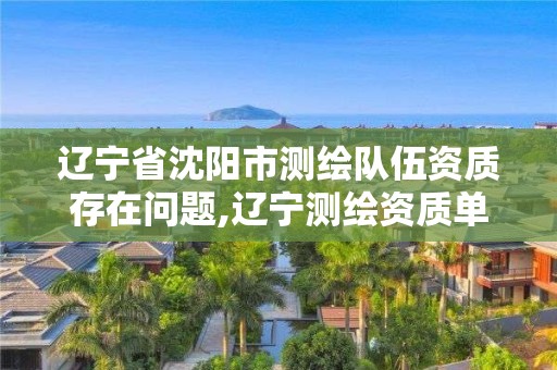 辽宁省沈阳市测绘队伍资质存在问题,辽宁测绘资质单位。