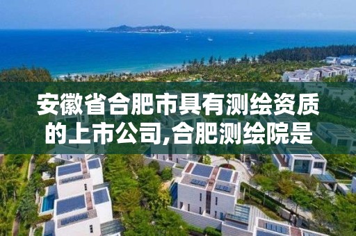 安徽省合肥市具有测绘资质的上市公司,合肥测绘院是什么单位。