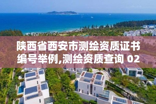 陕西省西安市测绘资质证书编号举例,测绘资质查询 023dir。