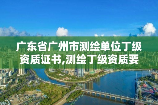 广东省广州市测绘单位丁级资质证书,测绘丁级资质要求。