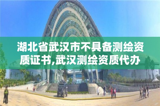 湖北省武汉市不具备测绘资质证书,武汉测绘资质代办。