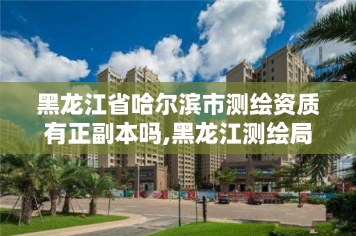 黑龙江省哈尔滨市测绘资质有正副本吗,黑龙江测绘局怎么样。