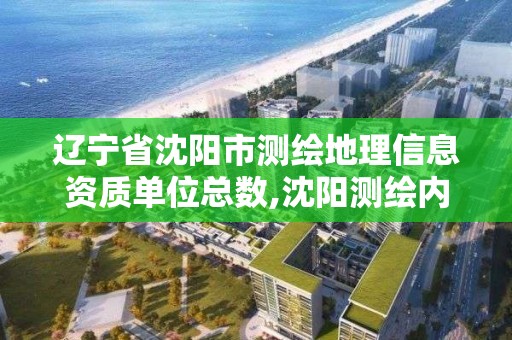 辽宁省沈阳市测绘地理信息资质单位总数,沈阳测绘内业招聘信息。