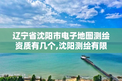 辽宁省沈阳市电子地图测绘资质有几个,沈阳测绘有限公司。