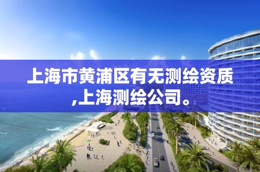 上海市黄浦区有无测绘资质,上海测绘公司。