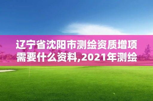 辽宁省沈阳市测绘资质增项需要什么资料,2021年测绘资质改革新标准。