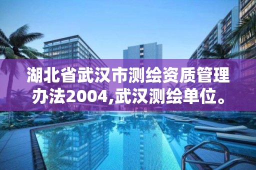 湖北省武汉市测绘资质管理办法2004,武汉测绘单位。