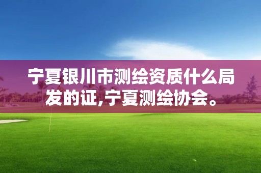 宁夏银川市测绘资质什么局发的证,宁夏测绘协会。