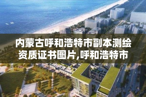 内蒙古呼和浩特市副本测绘资质证书图片,呼和浩特市测绘仪器店。