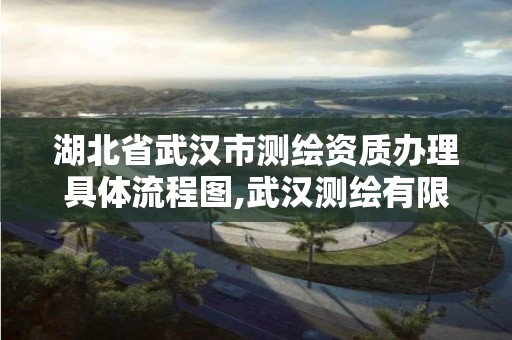 湖北省武汉市测绘资质办理具体流程图,武汉测绘有限公司。