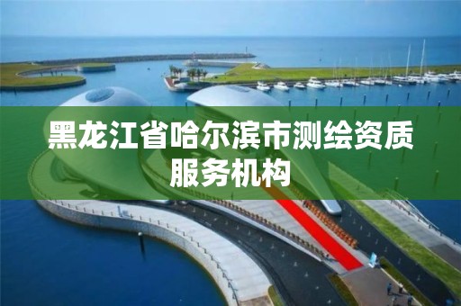 黑龙江省哈尔滨市测绘资质服务机构