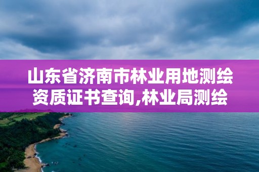 山东省济南市林业用地测绘资质证书查询,林业局测绘是做什么的。