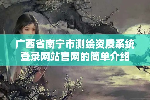 广西省南宁市测绘资质系统登录网站官网的简单介绍