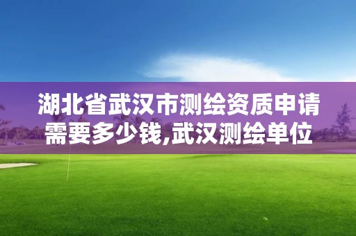 湖北省武汉市测绘资质申请需要多少钱,武汉测绘单位。