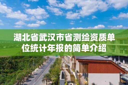 湖北省武汉市省测绘资质单位统计年报的简单介绍