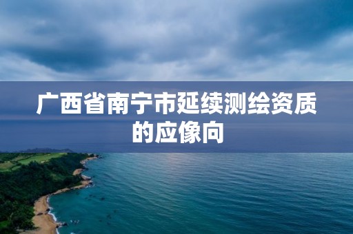 广西省南宁市延续测绘资质的应像向