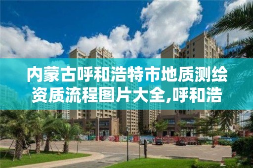 内蒙古呼和浩特市地质测绘资质流程图片大全,呼和浩特市勘察测绘院。