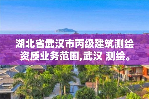 湖北省武汉市丙级建筑测绘资质业务范围,武汉 测绘。