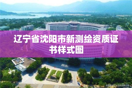 辽宁省沈阳市新测绘资质证书样式图