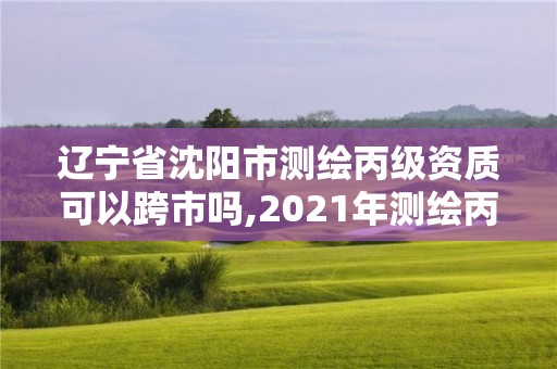 辽宁省沈阳市测绘丙级资质可以跨市吗,2021年测绘丙级资质申报条件。