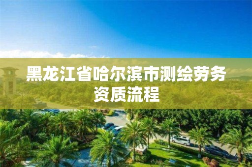 黑龙江省哈尔滨市测绘劳务资质流程