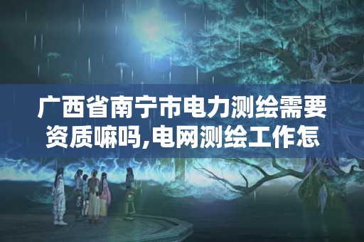 广西省南宁市电力测绘需要资质嘛吗,电网测绘工作怎么样。