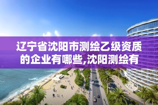 辽宁省沈阳市测绘乙级资质的企业有哪些,沈阳测绘有限公司。