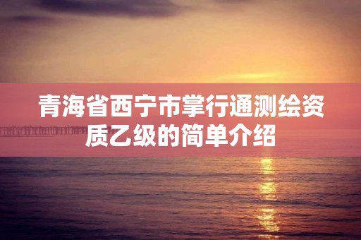 青海省西宁市掌行通测绘资质乙级的简单介绍