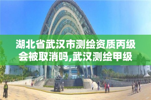 湖北省武汉市测绘资质丙级会被取消吗,武汉测绘甲级资质公司。