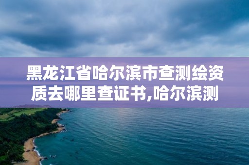 黑龙江省哈尔滨市查测绘资质去哪里查证书,哈尔滨测绘局工资怎么样。