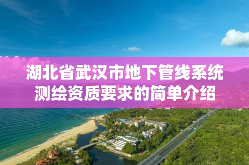 湖北省武汉市地下管线系统测绘资质要求的简单介绍