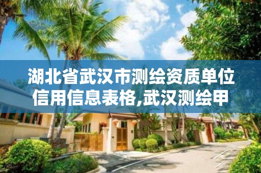 湖北省武汉市测绘资质单位信用信息表格,武汉测绘甲级资质公司。