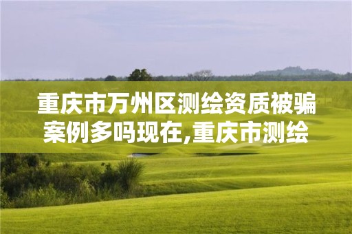 重庆市万州区测绘资质被骗案例多吗现在,重庆市测绘资质管理办法。