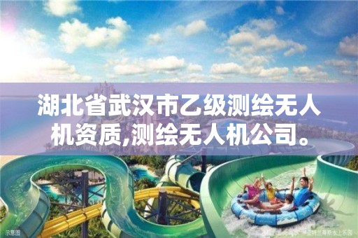 湖北省武汉市乙级测绘无人机资质,测绘无人机公司。