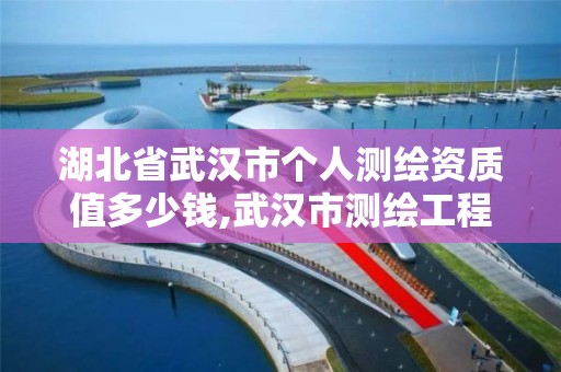 湖北省武汉市个人测绘资质值多少钱,武汉市测绘工程技术规定。