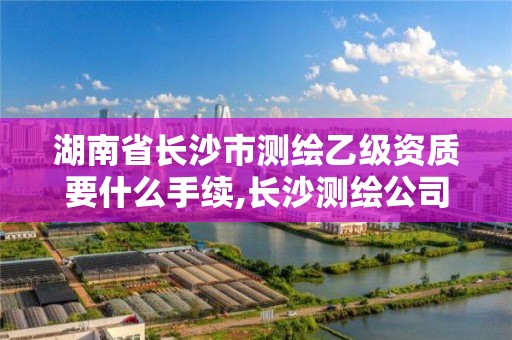 湖南省长沙市测绘乙级资质要什么手续,长沙测绘公司资质有哪家。