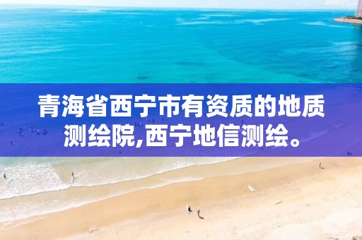 青海省西宁市有资质的地质测绘院,西宁地信测绘。