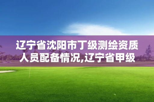 辽宁省沈阳市丁级测绘资质人员配备情况,辽宁省甲级测绘单位。