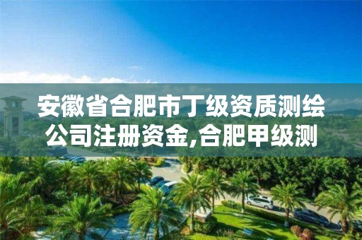 安徽省合肥市丁级资质测绘公司注册资金,合肥甲级测绘公司。