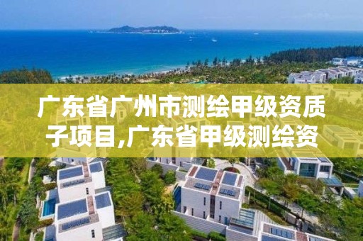 广东省广州市测绘甲级资质子项目,广东省甲级测绘资质单位有多少。