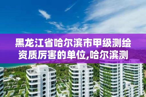 黑龙江省哈尔滨市甲级测绘资质厉害的单位,哈尔滨测绘局招聘。