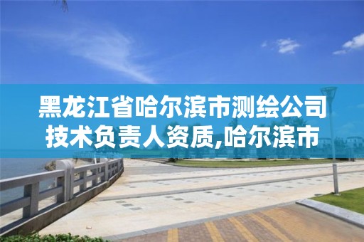 黑龙江省哈尔滨市测绘公司技术负责人资质,哈尔滨市测绘院。