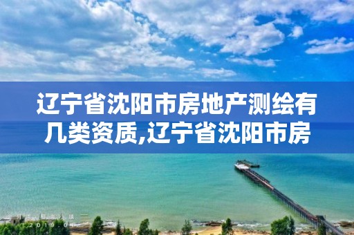 辽宁省沈阳市房地产测绘有几类资质,辽宁省沈阳市房地产测绘有几类资质。